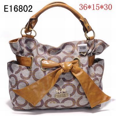 Coach handbags483